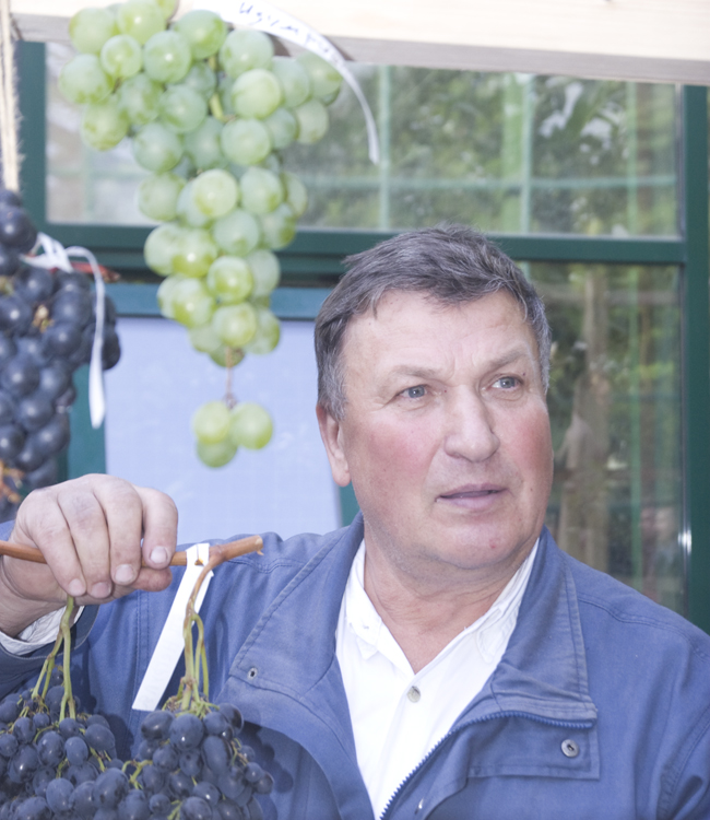 sadovod-sortoispytatel-i-vinodel-nikolaj-sidortsov